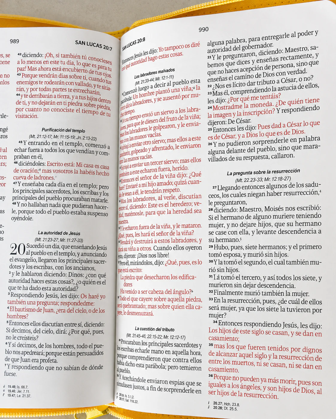 Biblia RVR60 Letra Grande 11.5 pts Amarillo Abejas Piel Cierre - Imagen 6