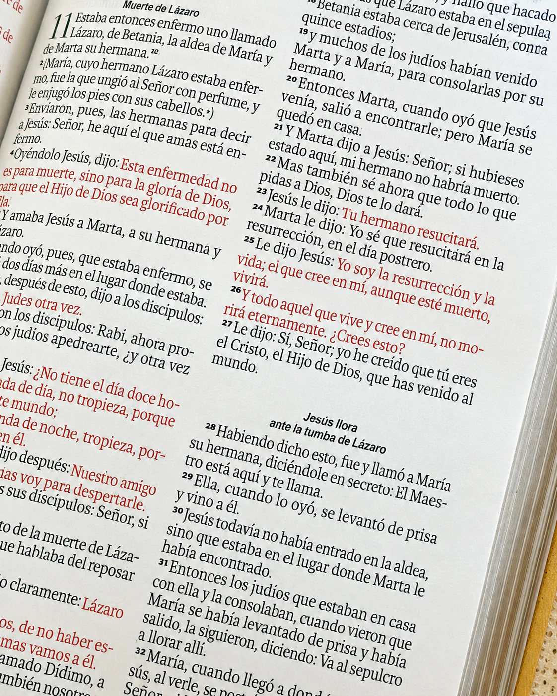 Biblia RVR1960 Letra Grande 11.5 pts – Beige hojas piel cierre - Imagen 7