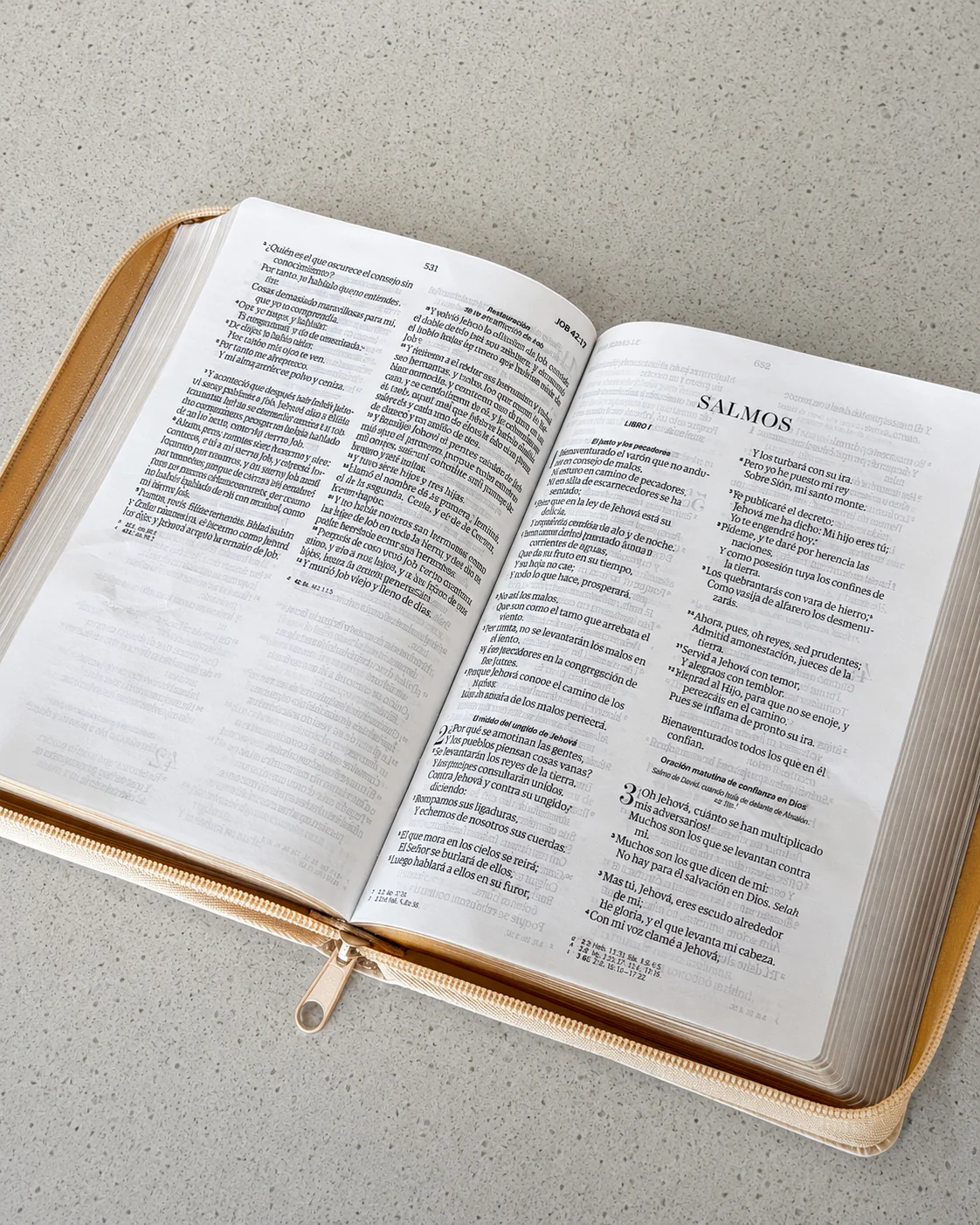 Biblia RVR1960 Letra Grande 11.5 pts – Beige hojas piel cierre - Imagen 6