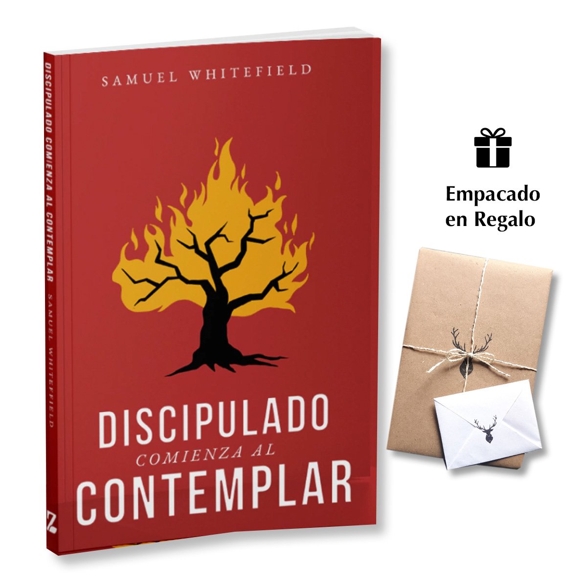 Discipulado Comienza al Contemplar - Samuel Whitefield
