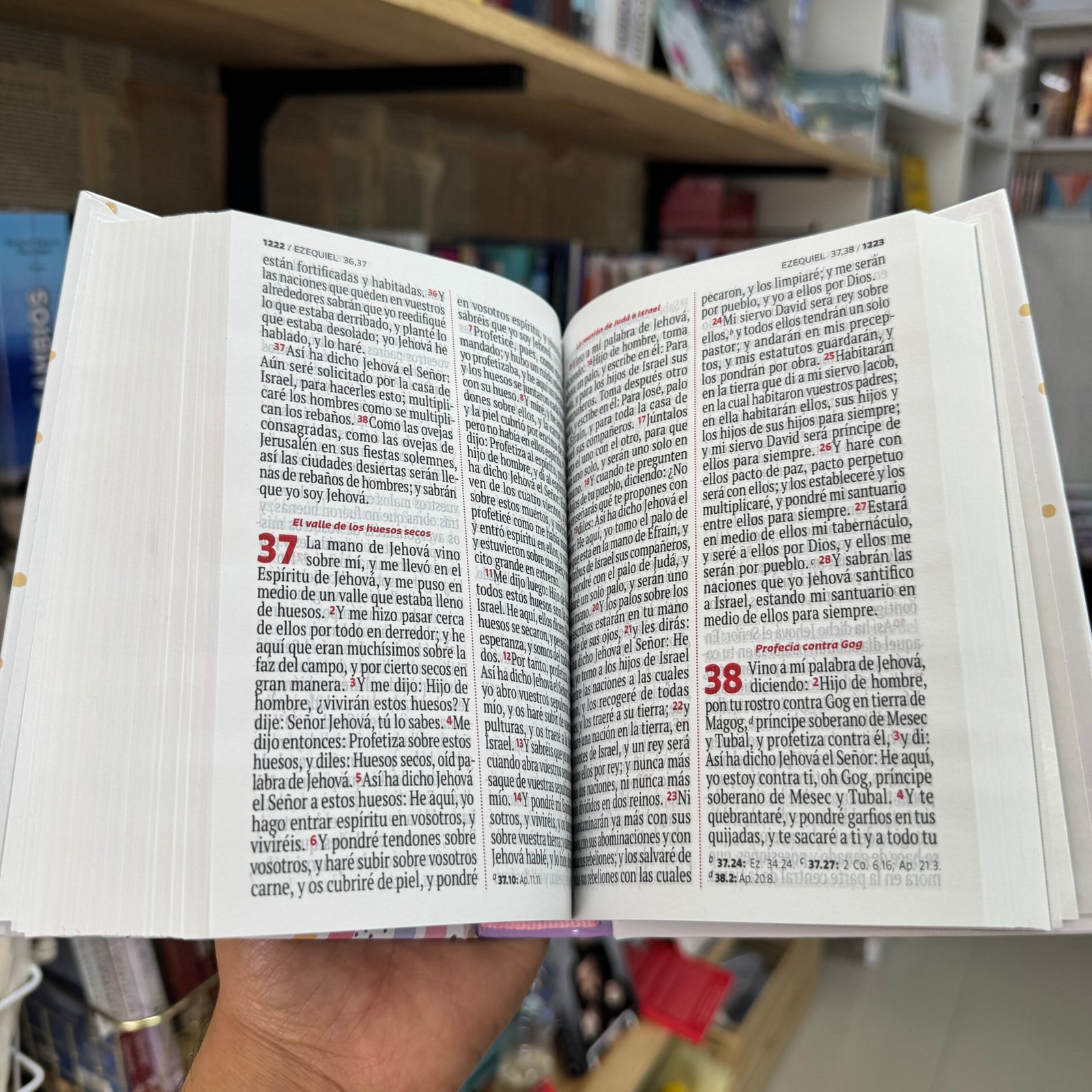 Biblia mediana RVR Letra Grande Arcoíris Tapa Dura - Imagen 5