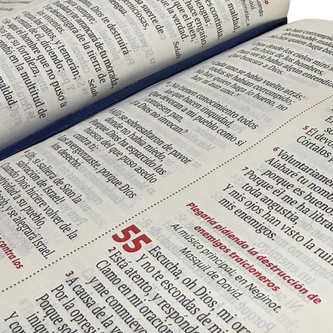 Biblia Florece – Letra Grande 12 puntos Lila con cierre - Imagen 2