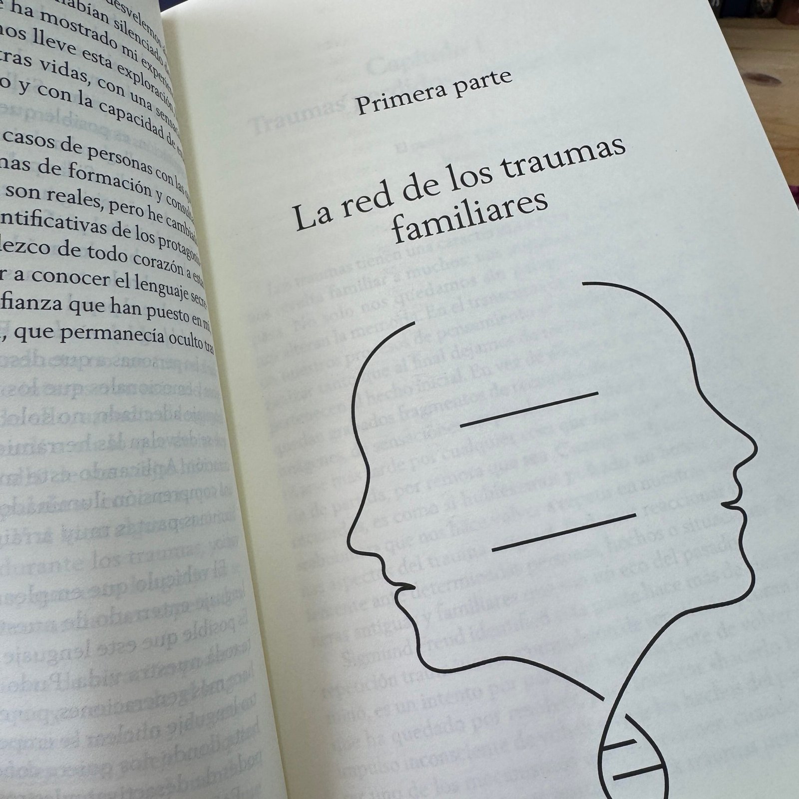 Este Dolor no es Mío - Identifica y Resuelve los traumas Familiares Heredados - Imagen 6