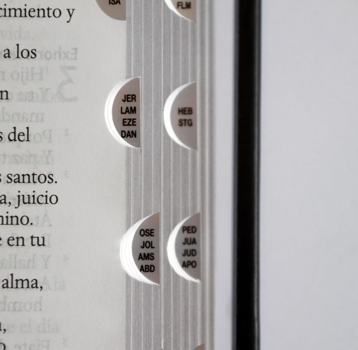 Biblia RVR 1960 Letra grande León de Judá edición especial plata con índice y canto negro - Imagen 10