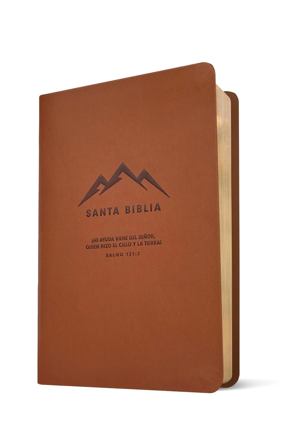 Biblia compacta NTV con Filament SentiPiel Café - Imagen 2