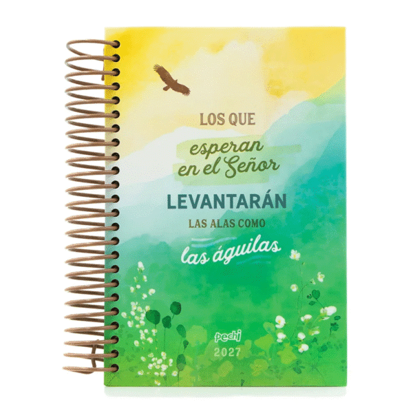 Agenda Pechi 2027 – Nuevas fuerzas