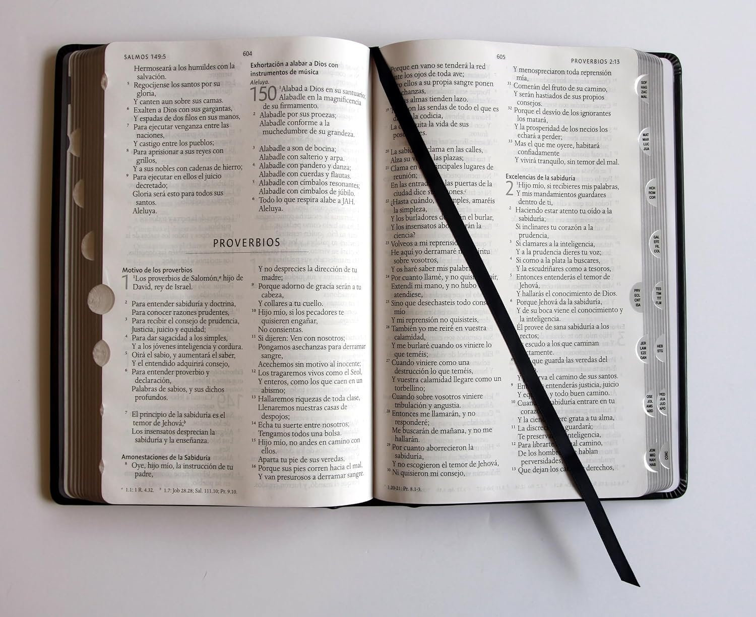 Biblia RVR 1960 Letra grande León de Judá edición especial plata con índice y canto negro - Imagen 9