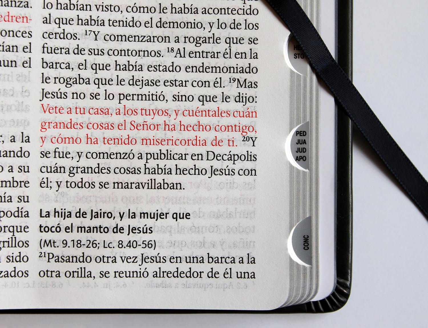 Biblia RVR 1960 Letra grande León de Judá edición especial plata con índice y canto negro - Imagen 11