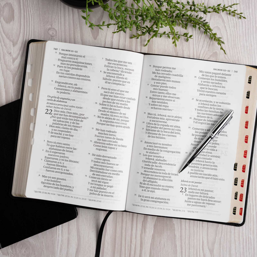 Biblia RVR60 Letra Supergigante Negro Cafe Indice Piel - Imagen 5
