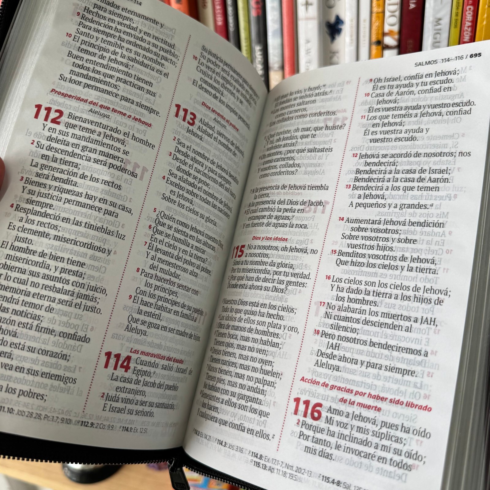 Biblia Letra Grande 12 puntos Reina Valera 1960 Cierre Negro - Imagen 6