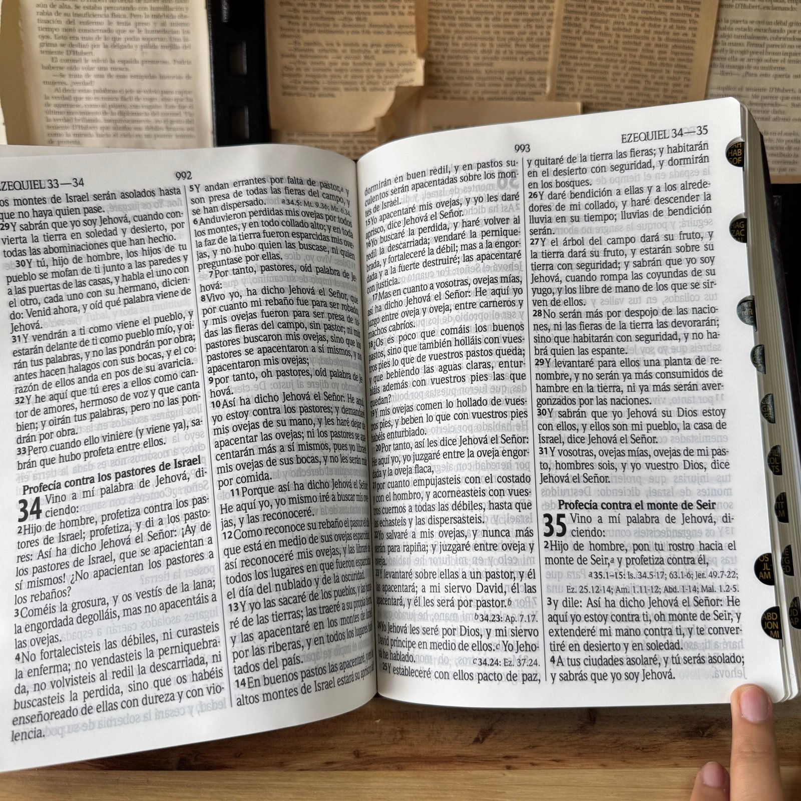 Biblia Reina Valera 1960 Grande Letra Gigante 16 puntos Indice Imitación Piel Café - Imagen 6