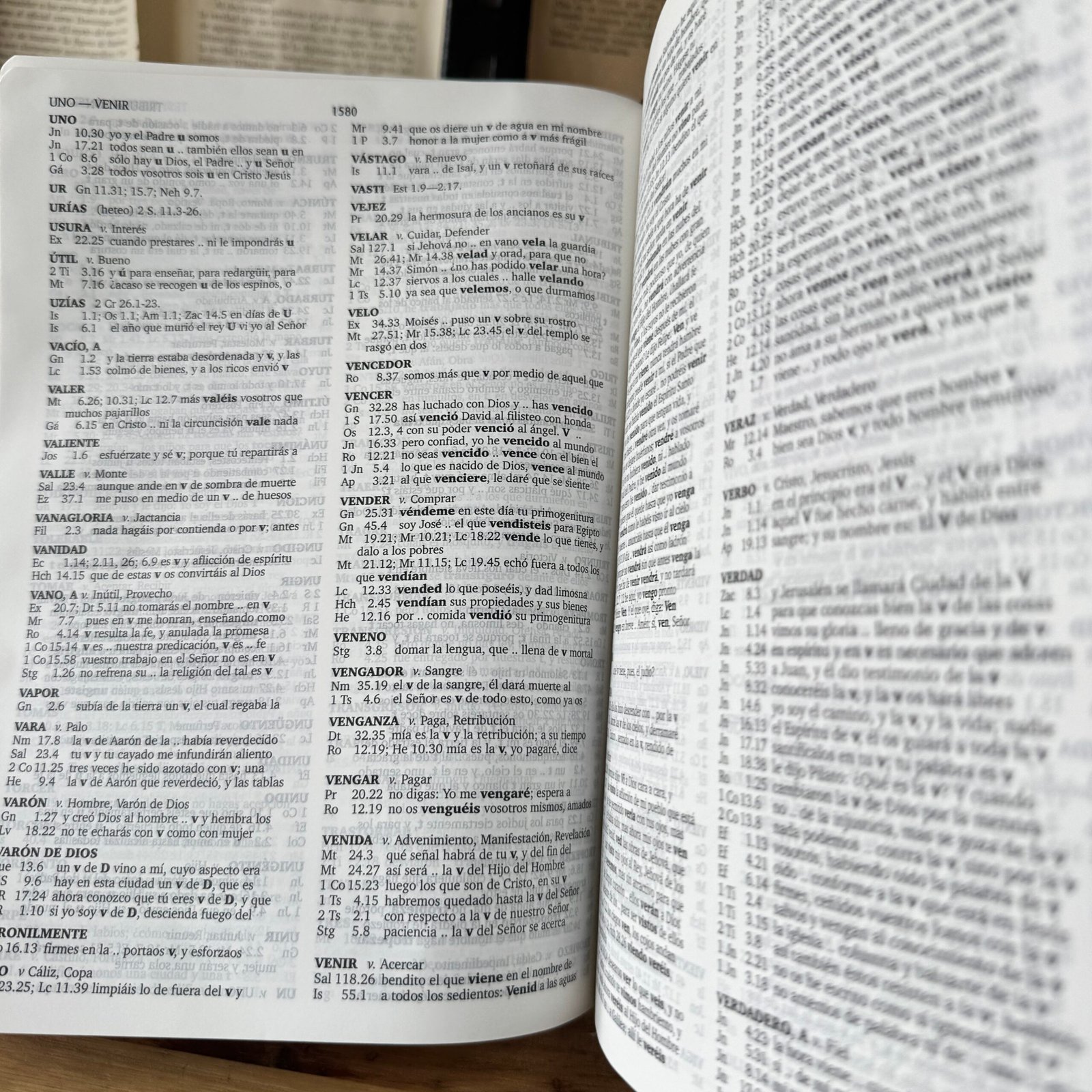 Biblia Reina Valera 1960 Grande Letra Gigante 16 puntos Indice Imitación Piel Café - Imagen 4