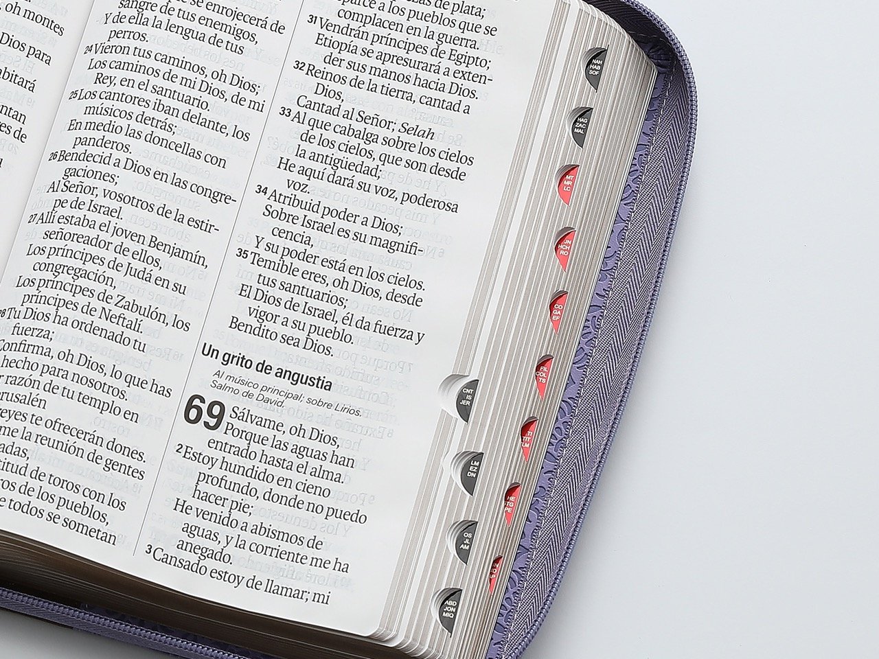 Biblia RVR60 Letra Súper Gigante i/piel Café/Lila con cierre/índice - Imagen 3