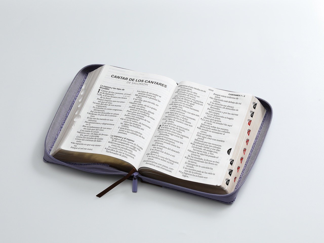 Biblia RVR60 Letra Súper Gigante i/piel Café/Lila con cierre/índice - Imagen 4