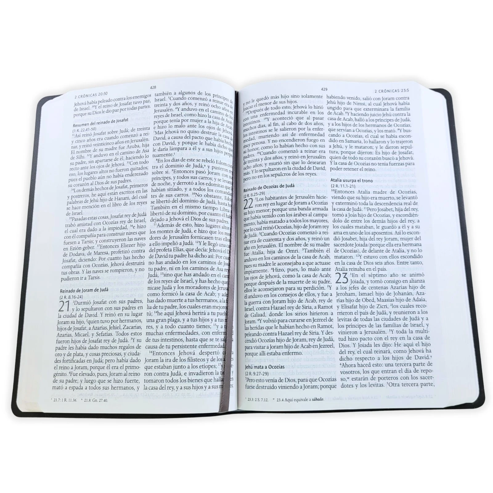Biblia Letra Grande Tamaño Manual – RVR 1960 Imitacion Piel Gris - Imagen 4