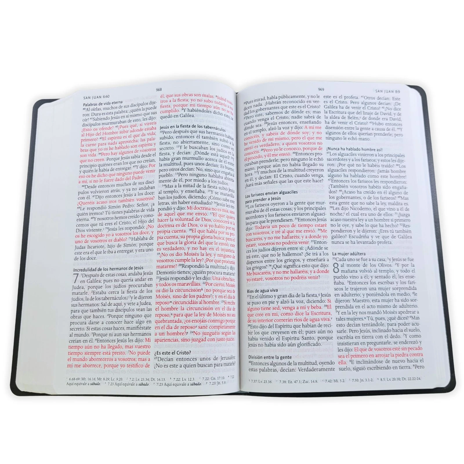 Biblia Letra Grande Tamaño Manual – RVR 1960 Imitacion Piel Gris - Imagen 3